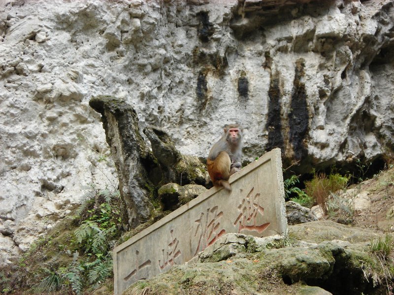 2012 china_tour030.jpg